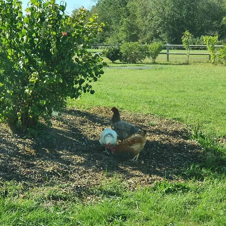 D'hotes De La Vallee 4*