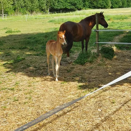 Bed & Breakfast D'hotes De La Vallee 4*