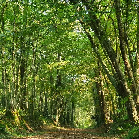 Panzió D'hotes De La Vallee