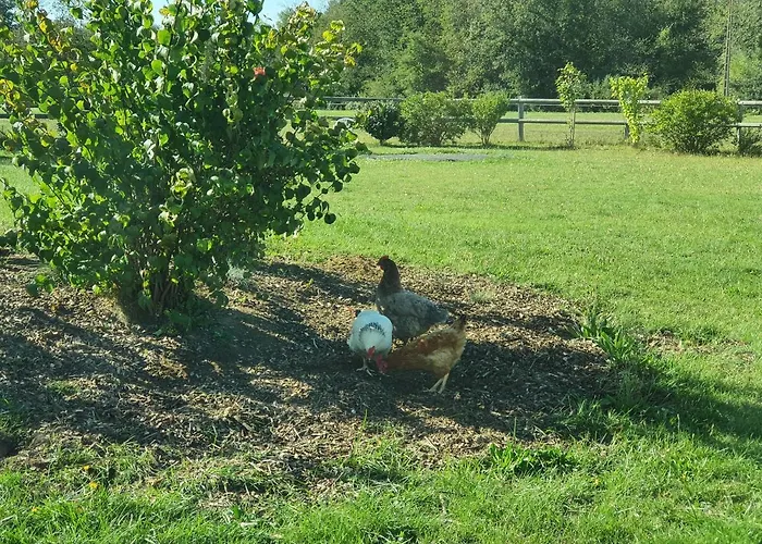 D'hôtes De La Vallée 4*