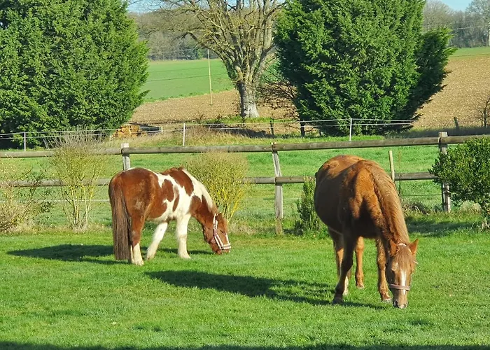 Bed & Breakfast D'hôtes De La Vallée 4*