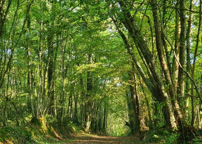 Panzió D'hotes De La Vallee